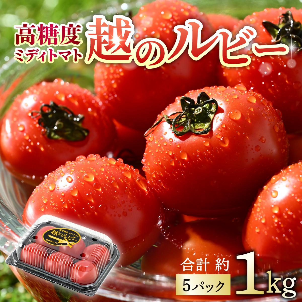 【先行予約】高糖度 ミディトマト 越のルビー パック入り 約1kg 5パック（25～35個入） / 福井県産 ブランド トマト 福井県産ブランドトマト  農家直送 有機肥料 低農薬 完熟 甘い ※2024年9月下旬より順次発送