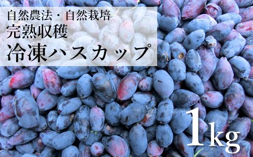 
            自然農法 冷凍 ハスカップ ( 1kg )  完熟収穫 栽培期間中 農薬不使用 農家 直送 遠野もぐもぐカントリー 【2025年6月下旬より順次発送予定】
          