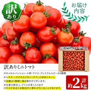 ＜先行予約受付中！2026年2～3月の間に発送予定＞訳あり 規格外 数量限定 門川町産 ミニトマト(計2kg)  訳あり 規格外 数量限定 門川町産 ミニトマト 期間限定 生活応援 とまと 野菜 ミッ