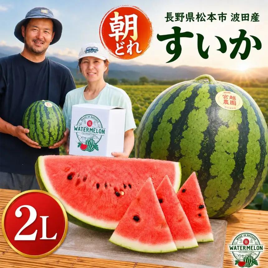 【先行受付：2027年発送】松本市 波田産 すいか 2L 