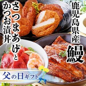 【父の日】鹿児島県産うなぎとさつま揚げとかつお丼セットA4-6F【配送不可地域：離島】【1605468】
