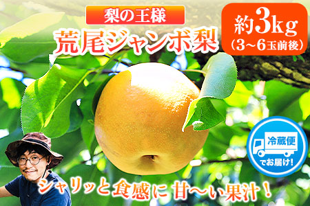 先行予約 梨 新高 ジャンボ梨 約3kg 髙口果樹園