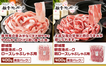 豚肉バラエティ6種4.1kgセット※訳あり入り_AC-9218_(都城市) 都城産豚 観音池ポーク ロース・肩ロースしゃぶしゃぶ用/ミンチ/スペアリブ/【訳あり】ロースとんかつ用 訳あり 宮崎県産豚切