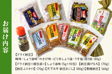 どらい納豆詰合わせセット 10種 納豆 詰め合わせ ドライ納豆 乾燥納豆 干し納豆 ダイエット ギフト 納豆ふりかけ 国産 おつまみ おやつ お菓子 おかし スナック 腸活 タンパク質 たんぱく質 小