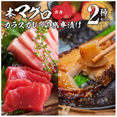 ふるさと納税 久留米市 国産本マグロとカラスガレイの幽庵漬け詰め合わせ　2種セット