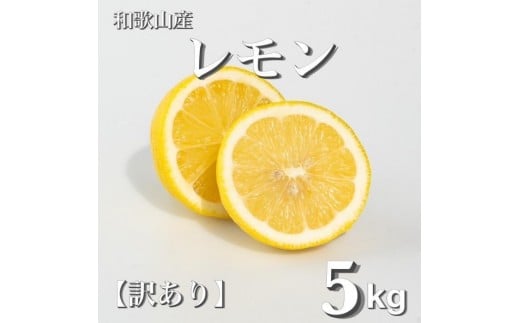 和歌山産 レモン 5kg  【訳あり】 【US1】