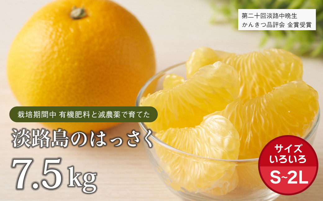 
            片山農園の淡路島のはっさく7.5kg【サイズいろいろS～2Lサイズ】【発送時期2026年2月頃~4月頃】
          