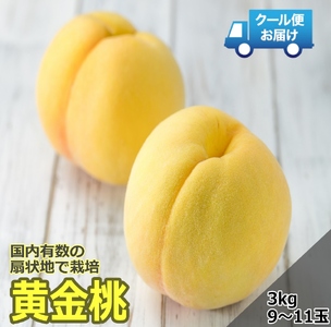 ＜2026年発送先行予約＞クール便 収穫当日に発送 【黄金桃】3kg（9～11玉） ALPDG010