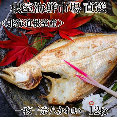 ふるさと納税 根室市 ＜12/10まで年内配送＞★一夜干し宗八かれい12枚 G-11006