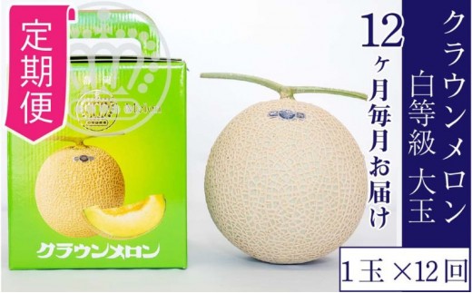
【12ヶ月定期便】クラウンメロン並【白等級】1.4kg前後　1玉入り [№5786-5543]
