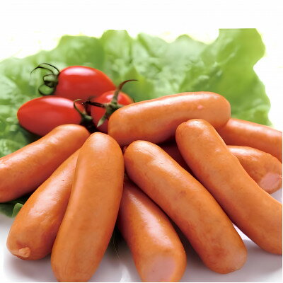 【ふるさと納税】沖縄ホーメル 辛口ビアソーセージ 計1620g(162g×10P)【配送不可地域：離島】【1684423】