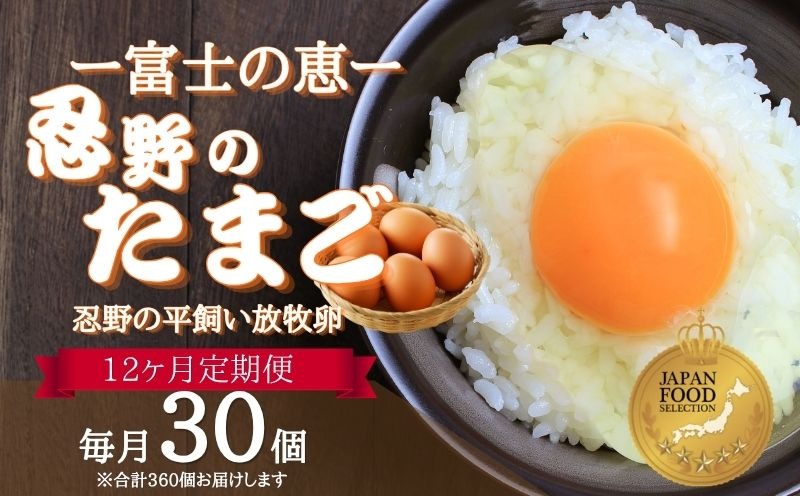 【定期便】忍野の平飼い放牧卵　12か月連続定期便（毎月30個×12か月　合計360個）KC012