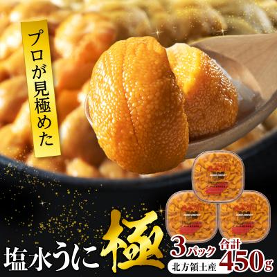 ふるさと納税 浜中町 ≪プロ厳選≫最高級塩水うに(極)計450g_H0014-152