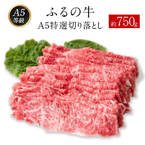 【ふるさと納税】ふるの牛（黒毛和牛）A5特選 切り落とし 750g 送料無料 A5 ミシュラン掲載《30日以内に順次出荷(土日祝除く)》ふるさと納税 A4〜A5等級 黒毛和牛 切り落とし