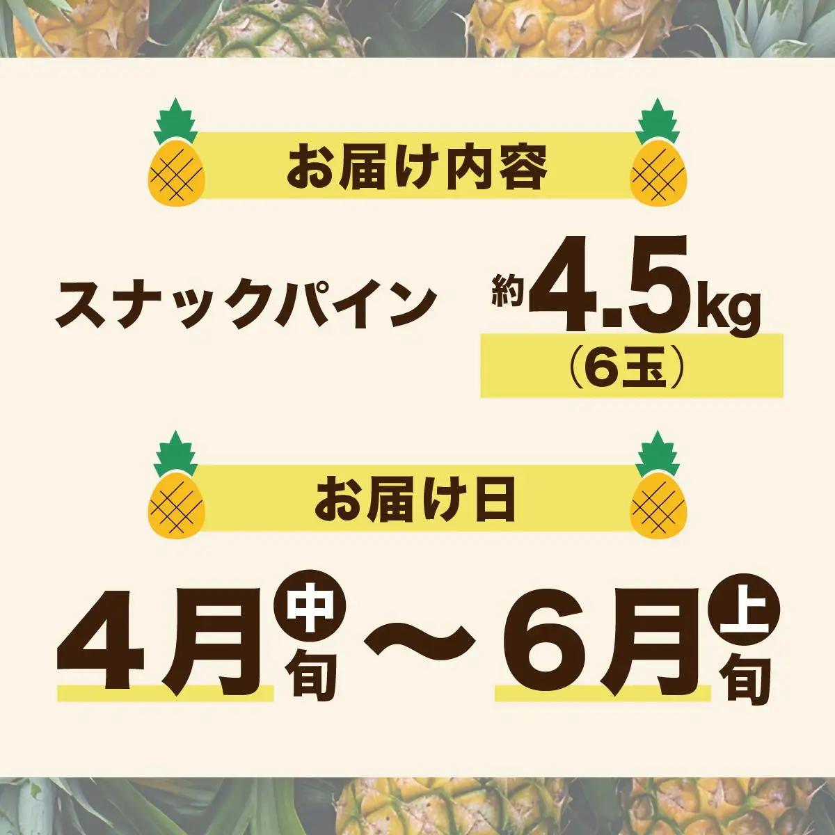 【2027年 先行予約】スナックパイン 約4.5kg