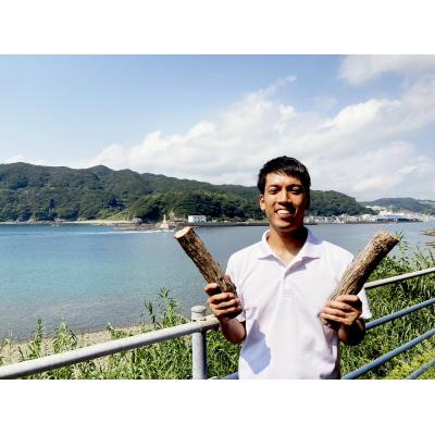 ふるさと納税 土佐清水市 ウバメガシ 薪 約10kg(1箱)乾燥済 約30cm キャンプ ストーブ 暖炉【R00828】 |  | 03