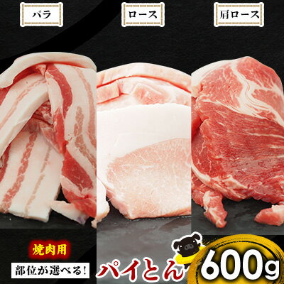 【ふるさと納税】親【部位が選べる！】アグー豚　パイとん　焼肉用　600g あぐー アグー あぐー豚肉 アグー肉 バラ ロース 肩ロース 選べる ブランド豚 パイン 焼肉 肉巻き 豚汁 パイナップル パイとん 沖縄の豚肉 ヤンバル やんばる パインアップル 東村