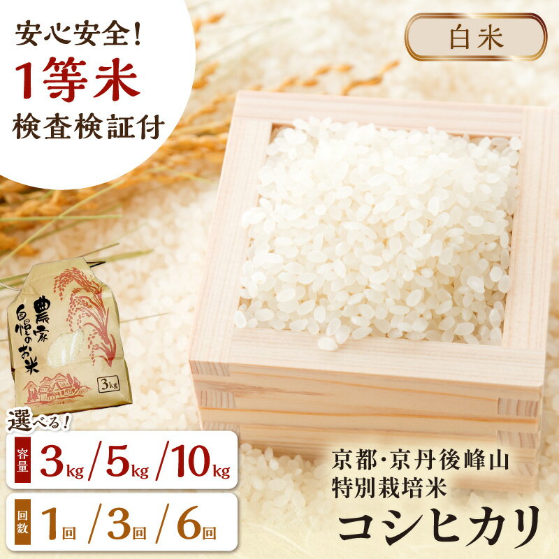 【ふるさと納税】残りわずか【白米】／高レビュー★ 2026年産 京都・京丹後峰山 特別栽培米コシヒカリ 3kg 5kg 10kg 定期便 3回【白米】 1等米 検査済証付 選べる 内容量 産地直送 丹後コシヒカリ 京都産 精米 こしひかり 米 3キロ 5キロ 10キロ 生産者応援 農家応援