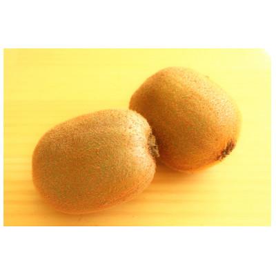 ふるさと納税 琴平町 【ふるさと納税】【香川県共通返礼品】　キウイ　美しい緑が鮮やかな　香緑(こうりょく)約3.0kg |  | 02