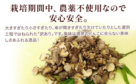 乾燥椎茸 訳あり 椎茸 100g×5パック | 津久見市