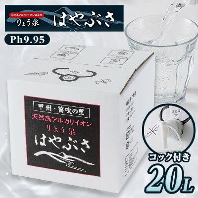 【ふるさと納税】【毎月定期便】りょう泉はやぶさ　バックインボックス(20L/コック付)全12回【4058695】
