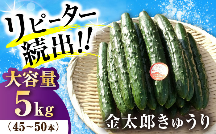 
                  ＜先行予約＞ 野菜 きゅうり 5kg 滋賀県長浜市/ミヤベアグリックファーム [AQDD002] キュウリ 野菜 新鮮 サラダ 漬物 浅漬け ぬか漬け 酢の物 炒め物 夏野菜
                
