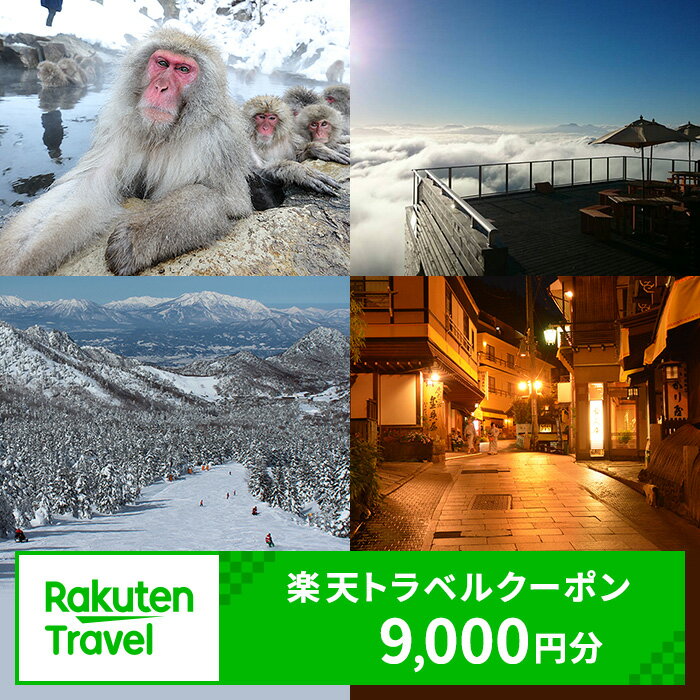 【ふるさと納税】長野県山ノ内町の対象施設で使える　楽天トラベルクーポン　寄付額30,000円(クーポン9,000円)　 長野 宿泊 宿泊券 ホテル 旅館 旅行 旅行券 観光 トラベル チケット 旅 宿 券