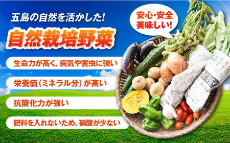 【全3回定期便】自然栽培・旬の野菜詰め合わせ 五島市/ぷらっと農園 [PDS007]