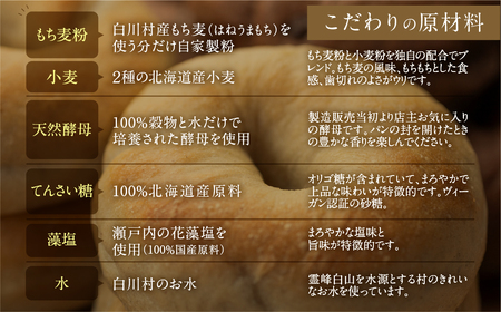 白川郷産 もち麦使用 ベーグル（プレーン）10個セット アオイロ・ベーグル もちもち ベーグル 国産 小麦 もち麦 使用 冷凍 個包装 アオイロ・カフェ 岐阜県 白川村 白川郷 世界遺産 手作り パン