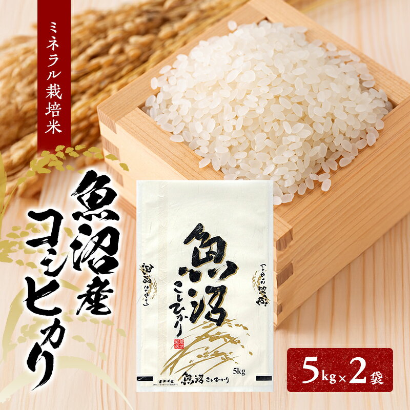 【ふるさと納税】[令和7年産]魚沼産コシヒカリ ミネラル栽培米（精米）10kg（5kg×2）