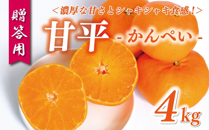 
            贈答用 甘平 4kg 15000円 みかん mikan 蜜柑 ミカン かんぺい 高級 人気 ブランド プレミアム 産地直送 国産 農家直送 期間限定 数量限定 特産品 お取り寄せ ギフト プレゼント 三大高級柑橘 人気 甘い フルーツ 果物 柑橘 おいしい ジューシー 新鮮 果実 糖度 ぎっしり ビタミン 健康 お祝い 贈答品 お返し 御礼 お礼 前田ファーム 愛南町 愛媛県
          