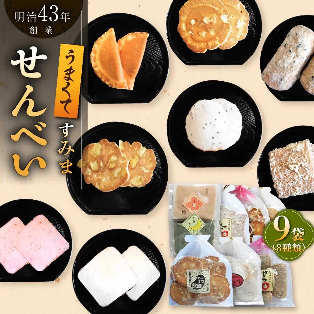 【大人気せんべい】せんべいバラエティ8種 計9袋 /恵比須堂 [UBQ001] 
