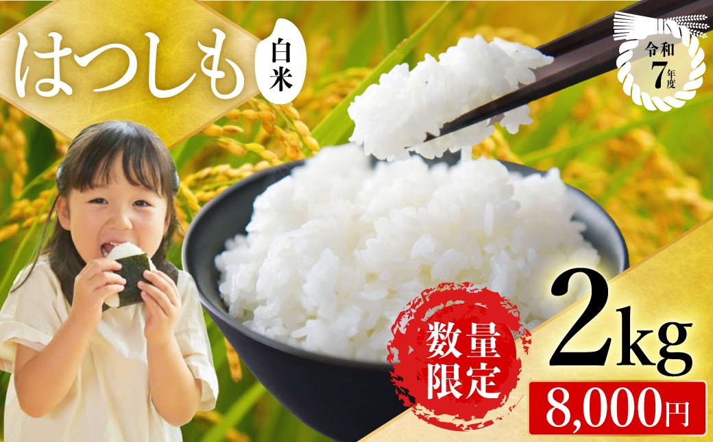 
                  【岐阜県代表品種】令和7年産 ハツシモ米 【白米】2kg（1kg×2袋） S19
                