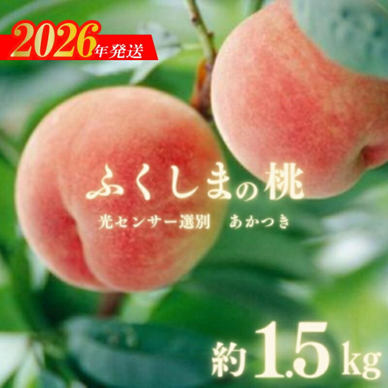【ふるさと納税】No.2919ふくしまの桃「光センサー選別あかつき」約1.5kg【2026年発送】