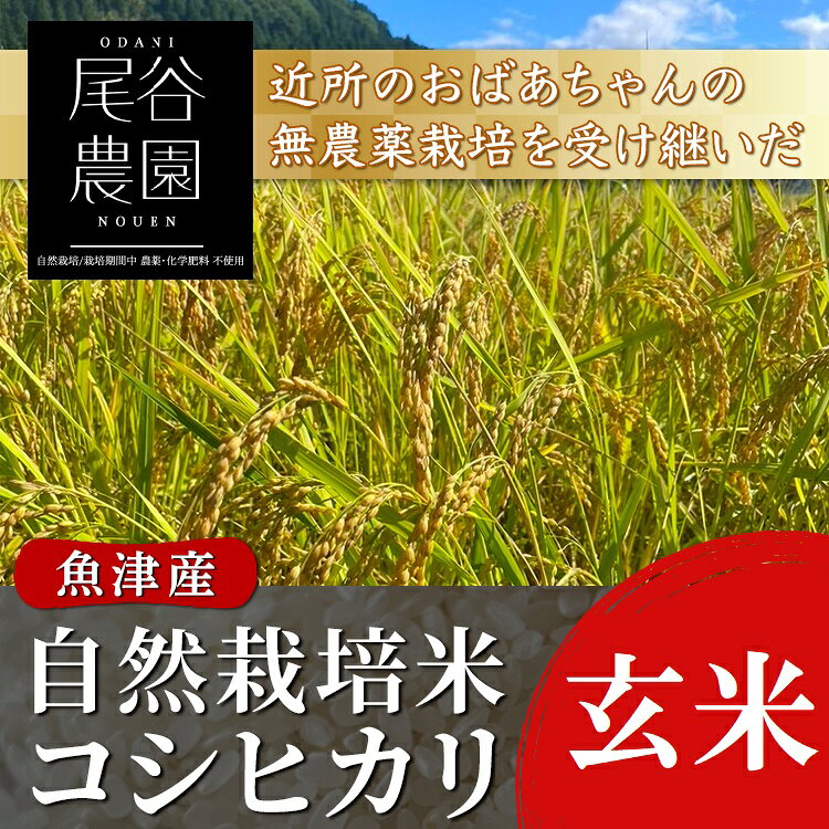 【ふるさと納税】＼選べる内容量・配送回数／【早期予約】【令和8年度産米】尾谷農園 自然栽培米コシヒカリ 玄米 ※2026年10月～発送