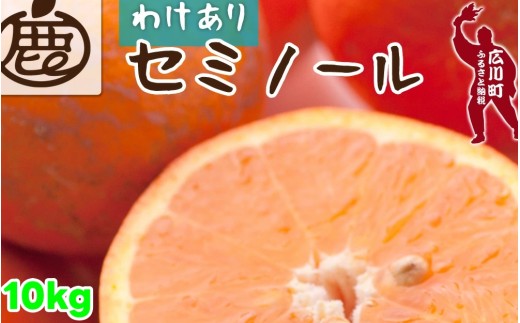 セミノール オレンジ 家庭用 10kg+250g（痛み補償分） 光センサー / みかん 甘い 訳あり 柑橘 晩柑 和歌山 有田 ※4月上旬～6月下旬ごろに順次発送 ※北海道・沖縄・離島への配送不可 【ikd016-c-10】