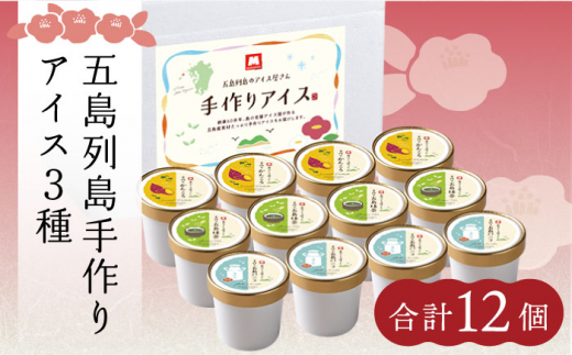 【最速発送】【一年中美味しい！こだわりがつまった島のアイス☺】五島列島の素材を使用 手づくり アイス 3種 セット 計12個 アイス スイーツ バニラ 抹茶 かんころ 塩 椿油   【マルマス】 [RAX001]  スピード発送 最短発送