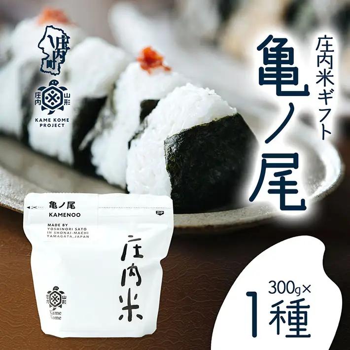 山形庄内かめこめプロジェクト 庄内米ギフト 亀ノ尾 300g×1袋 令和7年産 2025年産 ブランド米 コシヒカリの原点、亀の尾発祥の地 庄内