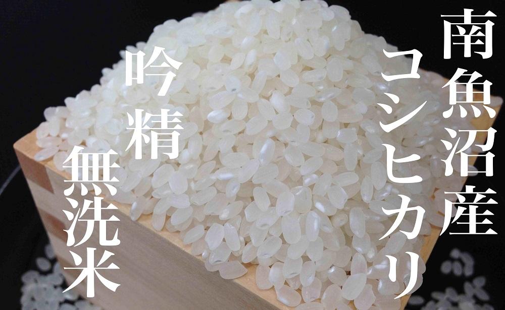 【令和8年産　新米予約】【定期便10Kg×全3回】無洗米 吟精 南魚沼産コシヒカリ【定期便 銘柄米 ブランド米 無洗米 こしひかり コシヒカリ 魚沼産 新潟米 産地直送 お米 米 こめ コメ】【2026年10月上旬から1ヶ月以内に順次発送予定】