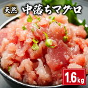 【ふるさと納税】 天然 中落ちマグロ 約1.6kg 160g×10パック ビンチョウマグロ メバチマグロ キハダマグロ まぐろ 鮪 刺身 赤身 肉 鉢マグロ ビンチョウ キハダ 中落ち 希少 ネギトロ マグロ漬け 海鮮丼 寿司 鉄火丼 手巻き寿司 魚 海鮮 魚介 国産 千葉県 銚子市 和田水産