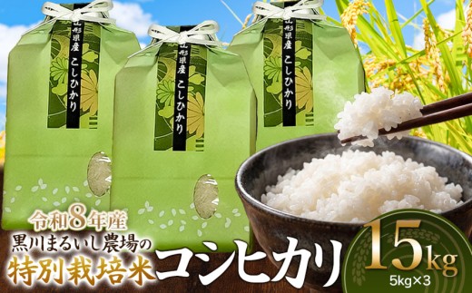 【令和8年産】 黒川まるいし農場の特別栽培米 コシヒカリ 15kg(5kg×3袋)　山形県鶴岡市産　K-8111　| こしひかり 米どころ 庄内米 ブランド米 米 コメ こめ 精米 ご飯 ごはん 美味しい お取り寄せ 農家直送 東北 国産 おすすめ 人気 返礼品 2026年産