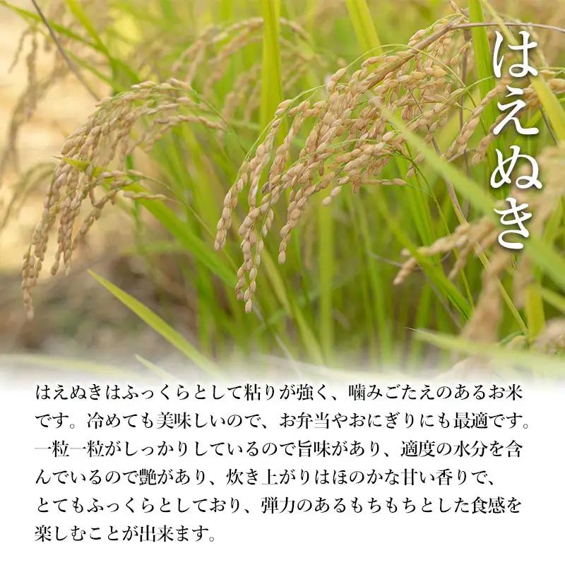 【令和8年産 新米】 特別栽培米はえぬき 精米 5kg (5kg×1袋)×6ヶ月【定期便】　鶴岡協同ファーム