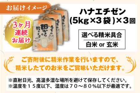 【先行予約】【令和8年産・新米】定期便 ≪3ヶ月連続お届け≫ ハナエチゼン15kg×3回 計45kg ～本原農園からまごころコメて～（玄米）【2026年9月上旬以降順次発送予定】 [J-8907]