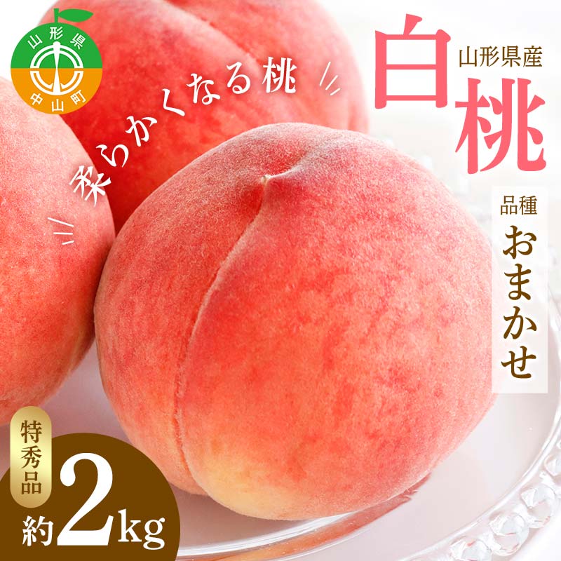 【ふるさと納税】《2026年先行予約》山形県産 白桃 品種おまかせ 特秀品 柔らかくなる桃 約2kg（あかつき、陽夏妃、まどか、川中島白桃、かぐや、ゆうぞら、伊達白桃、あおぞら娘 他） F4A-0470