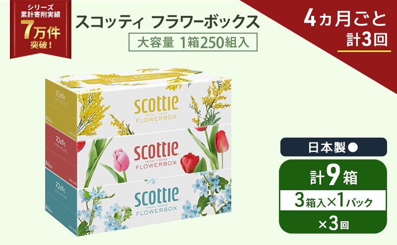 定期便 ティッシュ スコッティ フラワーボックス 3箱 × 1 パック《 4ヶ月ごと計 3回 》ティッシュセット