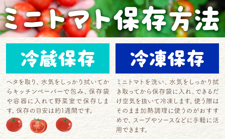 ミニトマト ほれまる 約1kg 熊貴農園《7月上旬-11月上旬出荷》熊本県 阿蘇郡 産山村 ミニトマト トマト とまと 野菜 やさい プチトマト