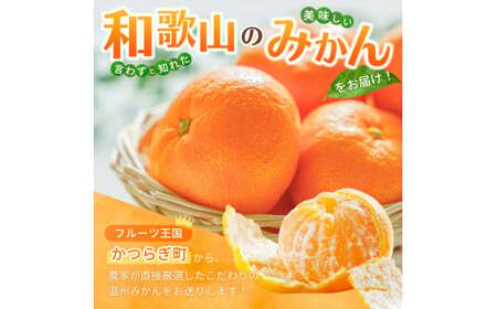 和歌山県産温州みかん　秀品　約5kg（約40個～60個入）【先行予約】【2026年11月上旬頃から12月中旬頃順次発送予定】 / みかん フルーツ 果物 柑橘 和歌山【kgr032A】