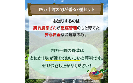 安心安全の地どれ野菜【旬が香る7種セット】自慢の特製ポン酢つき！／Qjs-05