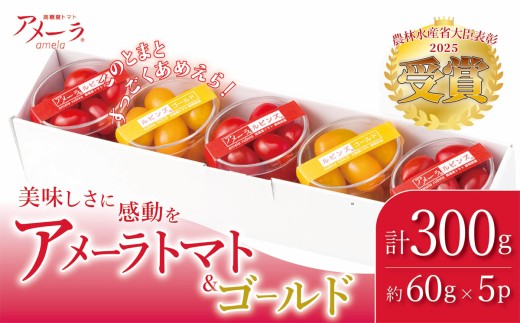 アメーラルビンズ ＆ ルビンズゴールド 5P 計約300g 入り │ トマト とまと 高糖度 野菜 アメーラ アメーラトマト ミニトマト プチトマト フルーツトマト 静岡県 小山町