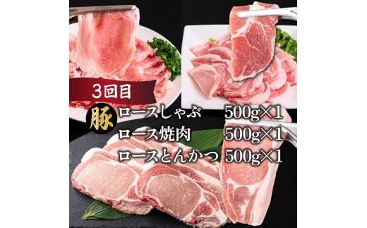 MCT6UB-69 【定期便・全6回】宮崎牛・宮崎県産豚肉 6ヶ月定期便！6.9kg